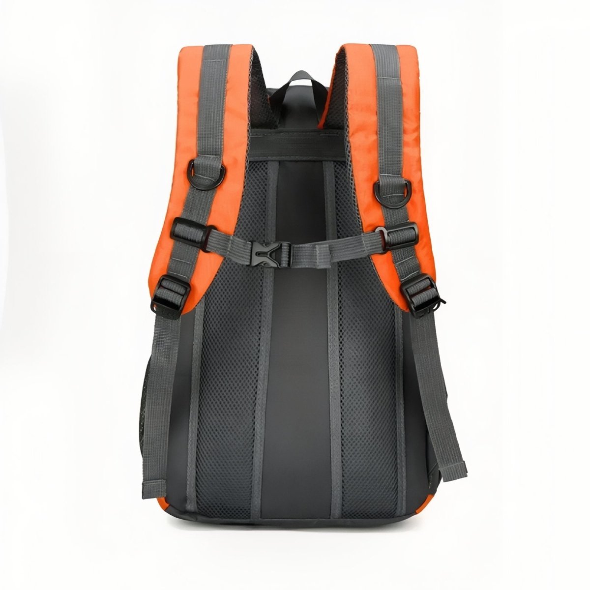 Sac à dos léger 30 L imperméable pour randonnée | Montelac - Montelac