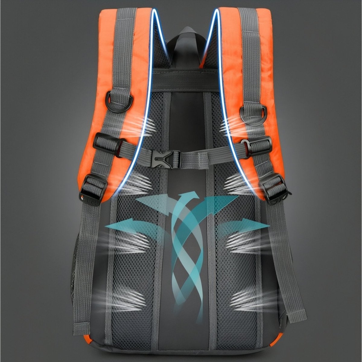 Sac à dos léger 30 L imperméable pour randonnée | Montelac - Montelac